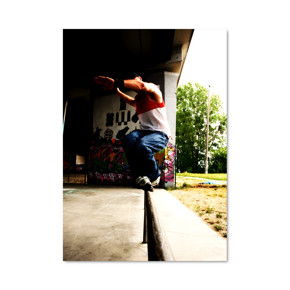 Poster Trickster Inline